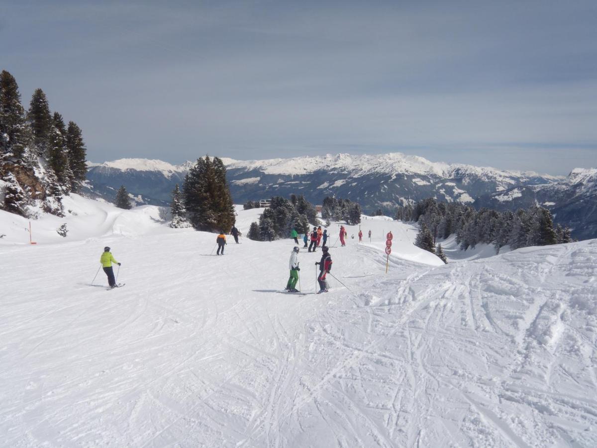 Appartements Schweiberer Ried im Zillertal Dış mekan fotoğraf